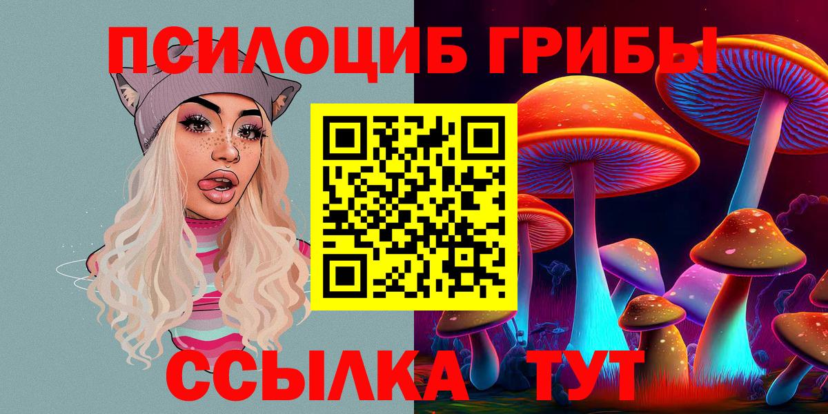 Псилоцибиновые грибы Psilocybe Красноперекопск